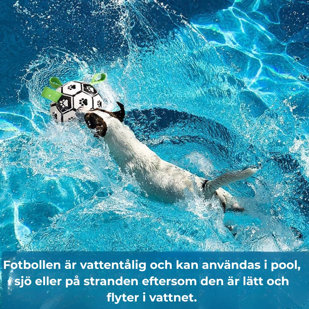 Interaktiv Fotboll för Hund – Perfekt för Lek & Träning Utomhus
