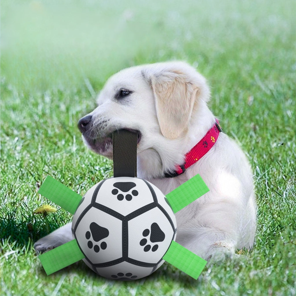 Interaktiv Fotboll för Hund – Perfekt för Lek & Träning Utomhus