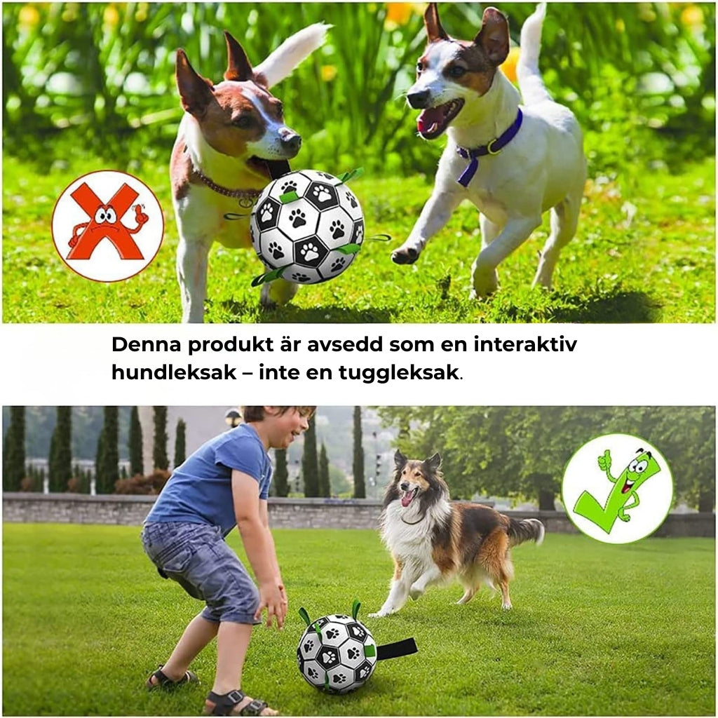 Interaktiv Fotboll för Hund – Perfekt för Lek & Träning Utomhus