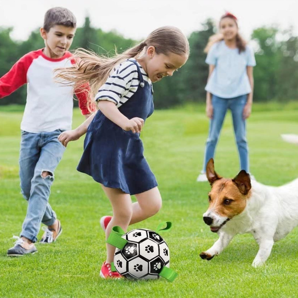 Interaktiv Fotboll för Hund – Perfekt för Lek & Träning Utomhus