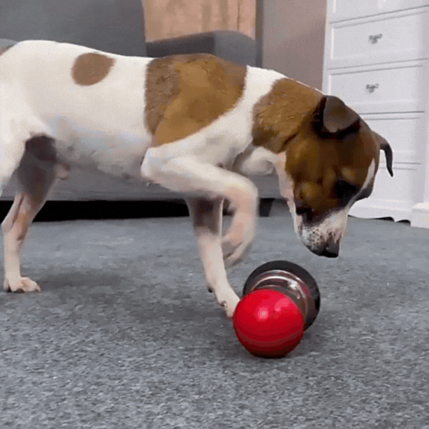 Aktiveringsleksak för hund – Foderdispenser med långsam utfodring och mental stimulans